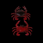Savage Gear LB 3D Manic crab 2,5 - red&black crab